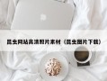 敦煌昆虫网站高清照片素材（昆虫图片下载）